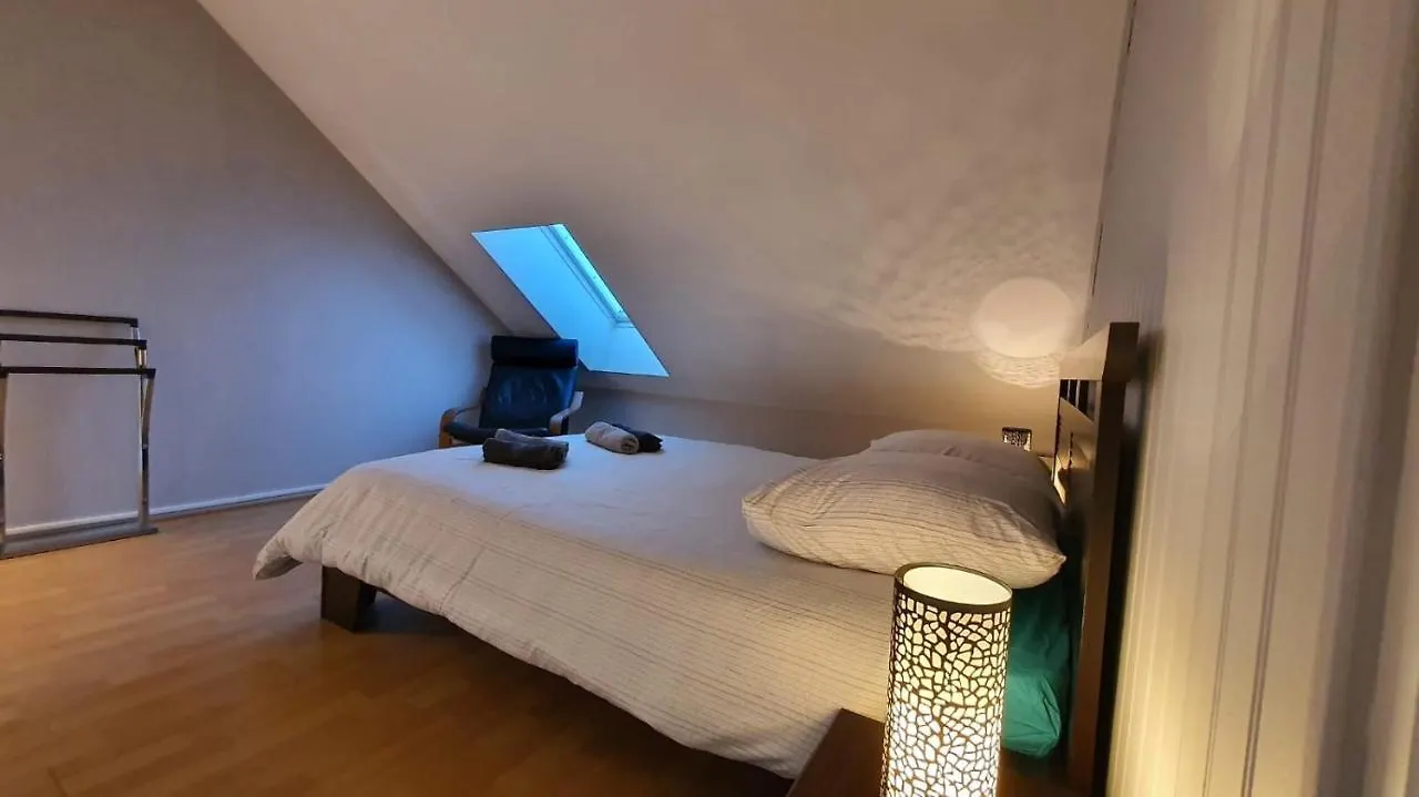 Lägenhet Charmant Duplex Face Au Lac Sévrier Frankrike